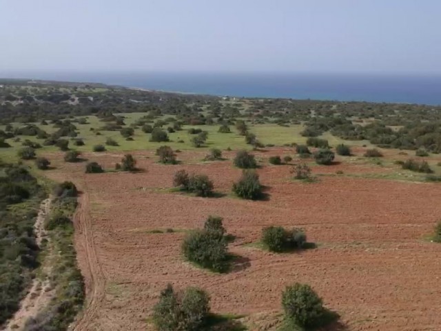 16 Hektar 1 Evlek-Land zum Verkauf in FAMAGUSA/TATLISU