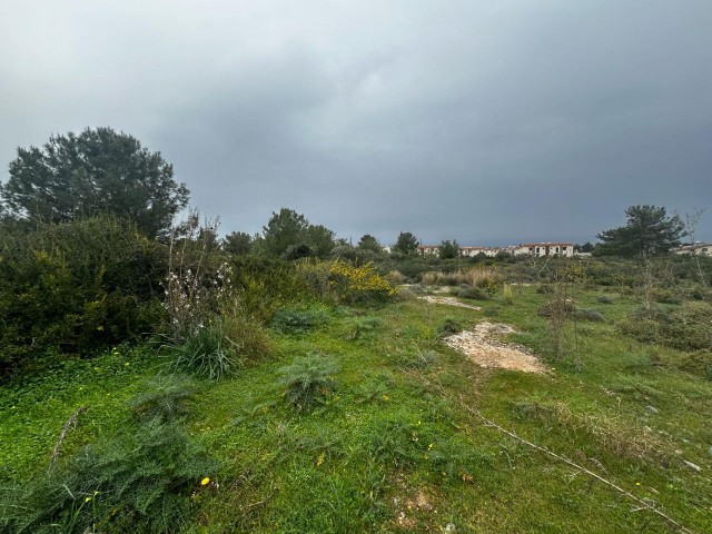 Girne/Çatalköy'de satılık muhteşem lokasyon satılık 6 dönüm  arazi