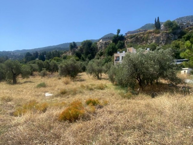 3345m2 Land for sale in Kyrenia/Lapta