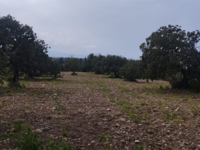 1670m2 land with mountain and sea views for sale in Famagusta/Tatlısu