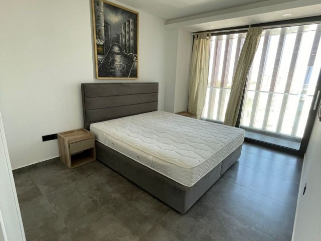 Luxury 2 Bedroom Apartment for Rent 