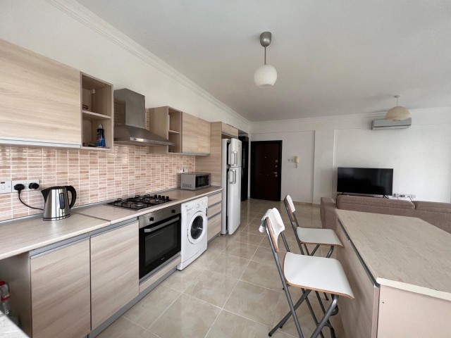 Spacious 1 Bedroom flat for rent in Alsancak 