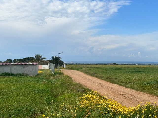 روستای Güzelyurt Taşpınar 1 decare 6 واحد