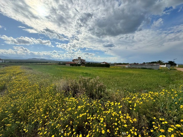 Güzelyurt Taşpınar village 1 decare 6 units