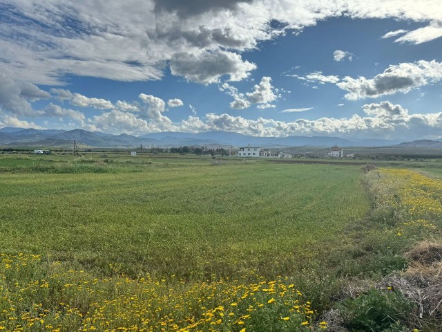 روستای Güzelyurt Taşpınar 1 decare 6 واحد