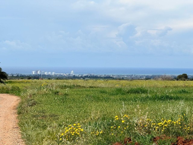 Гюзельюрт Ташпинар село 1 декар 6 ед.