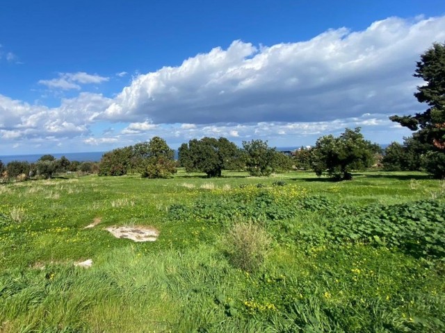 12100m2 Grundstück zum Verkauf in Kyrenia/Karaağaç