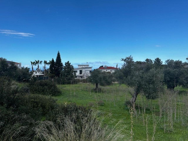 1960m2 land for sale in Girne/Çatalköy