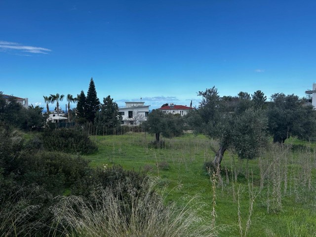 1960m2 Grundstück zum Verkauf in Girne/Çatalköy