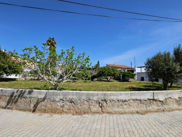 3+1 Detached House in 1 Acre for Sale in Camlibel