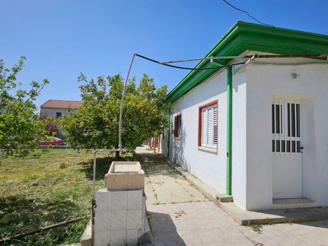 3+1 Detached House in 1 Acre for Sale in Camlibel