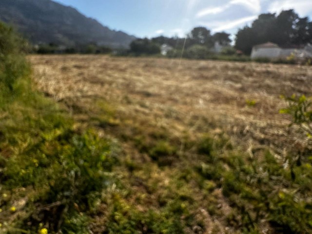 4 acres of 2 evlak land for sale in Kyrenia/Karsıyaka