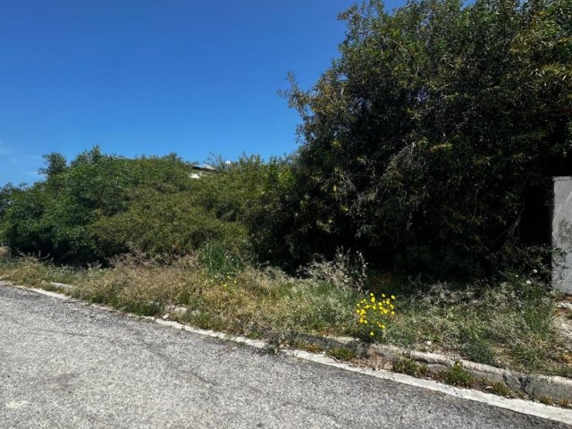 Land with Turkish title for sale in Kyrenia/Ozanköy