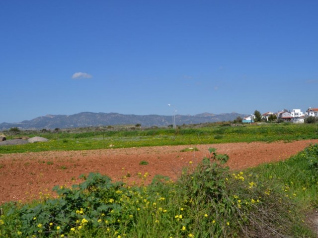 رشته برای فروش in Boğaz, ایسکله