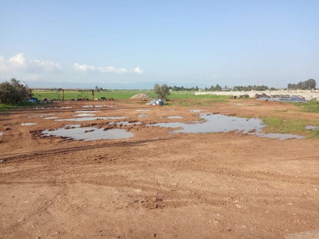 Feld Kaufen in Yeni Boğaziçi, Famagusta