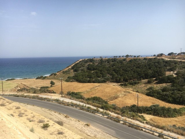 7 ACRES OF LAND FOR SALE IN DIPKARPAZ REGION ** 