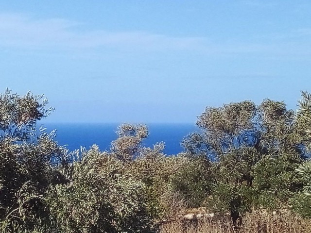 LAND FOR SALE IN İSKELE SİPAHİ ** 