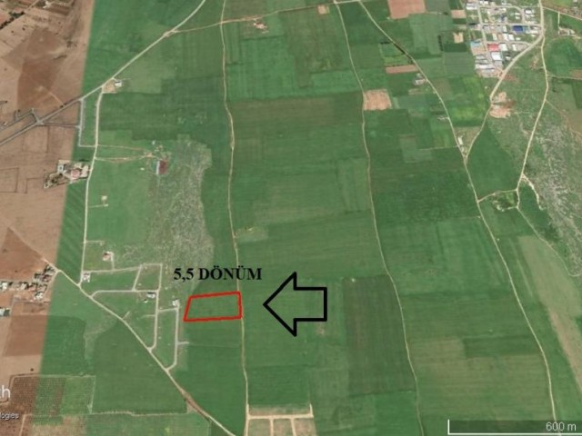 5.5 DEC OF LAND FOR SALE IN MORMENEKSE, GAZİMAĞUSA ** 