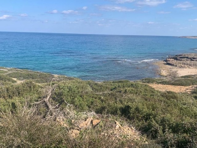 7 DNM LAND IN GREENKIRKOY, DIREKT AM MEER