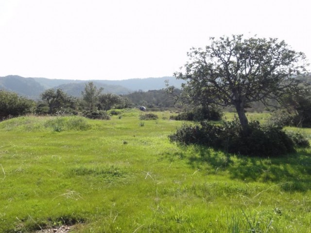 Feld Kaufen in Bahçeli, Kyrenia