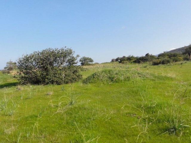 رشته برای فروش in Bahçeli, گیرنه