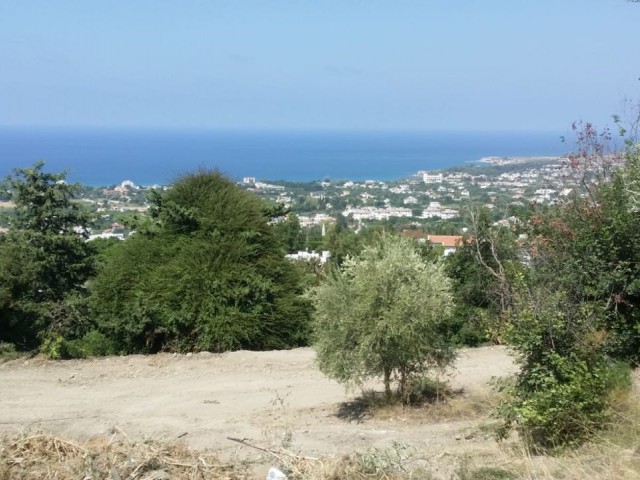 LAND FOR SALE AT BAŞPINAR NEAR THE ROAD - LAPTA OF KYRENIA, 2486 m2 LAND FOR SALE (90% CLOSED CONSTRUCTION COEFFICIENT, 3 FLOOR PERMIT), ROAD READY, PROJECT PERMITTED
