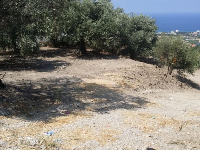 LAND FOR SALE AT BAŞPINAR NEAR THE ROAD PANORAMIC SEA VIEW - LAPTA OF KYRENIA, 2486 m2 LAND FOR SALE (90% CLOSED CONSTRUCTION COEFFICIENT, 2240M2 CONST. AREA, 3 FLOOR PERMIT), ROAD READY