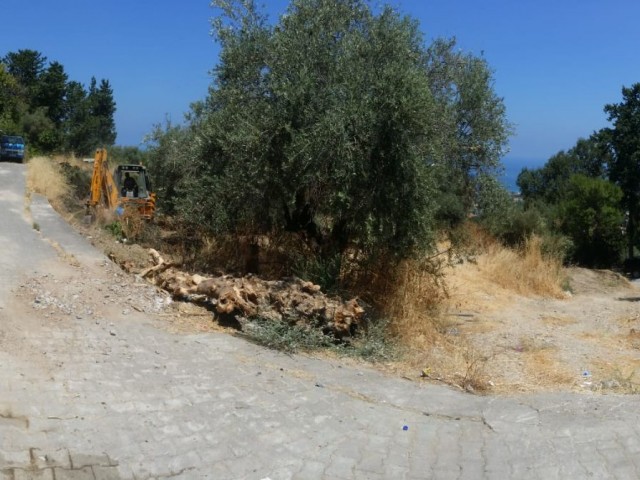 LAND FOR SALE AT BAŞPINAR NEAR THE ROAD PANORAMIC SEA VIEW - LAPTA OF KYRENIA, 2486 m2 LAND FOR SALE (90% CLOSED CONSTRUCTION COEFFICIENT, 2240M2 CONST. AREA, 3 FLOOR PERMIT), ROAD READY