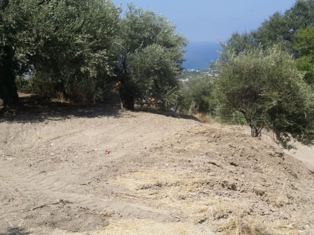 LAND FOR SALE AT BAŞPINAR NEAR THE ROAD - LAPTA OF KYRENIA, 2486 m2 LAND FOR SALE (90% CLOSED CONSTRUCTION COEFFICIENT, 3 FLOOR PERMIT), ROAD READY, PROJECT PERMITTED