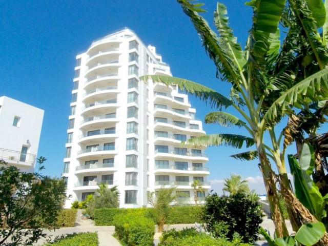 Flat To Rent in Akçay, Guzelyurt