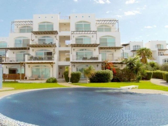 SA-2177 Apartment in Aphrodite from the owner