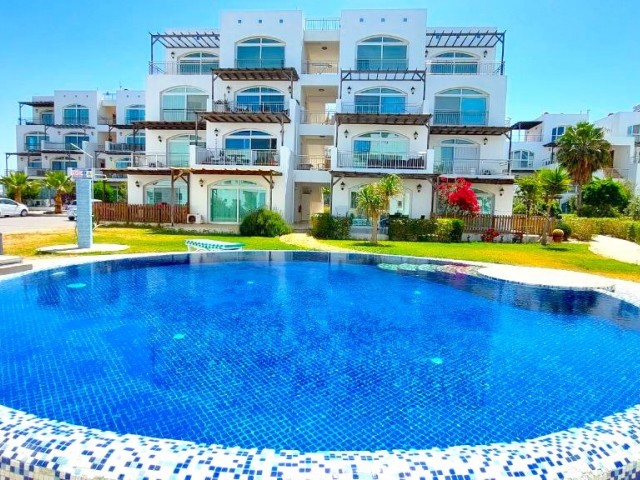 Daily rent in Aphrodite ** 