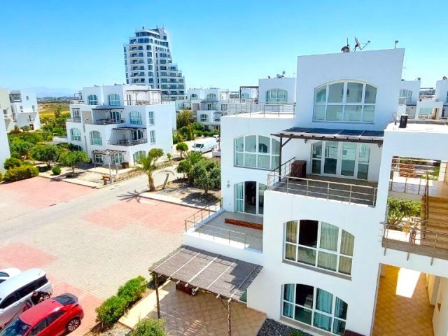 Daily rent in Aphrodite