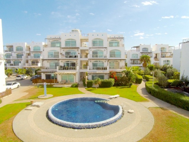 Daily rent in Aphrodite ** 