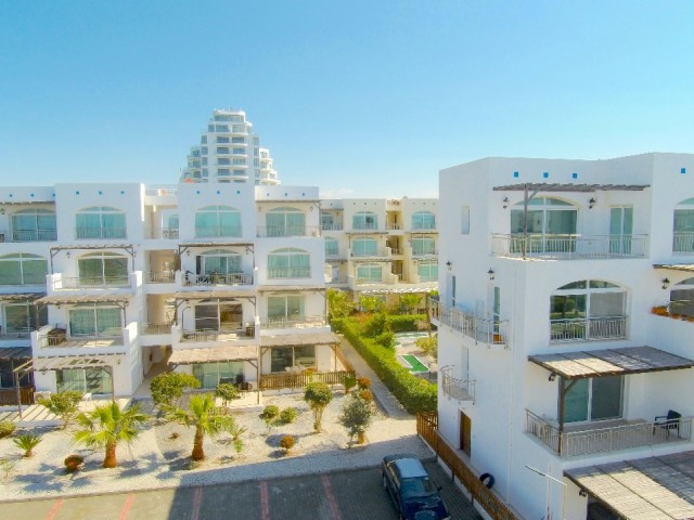 Daily rent in Aphrodite ** 