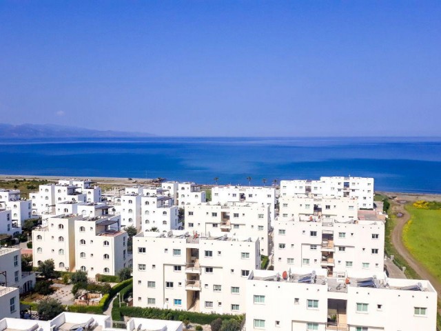 Daily rent in Aphrodite ** 