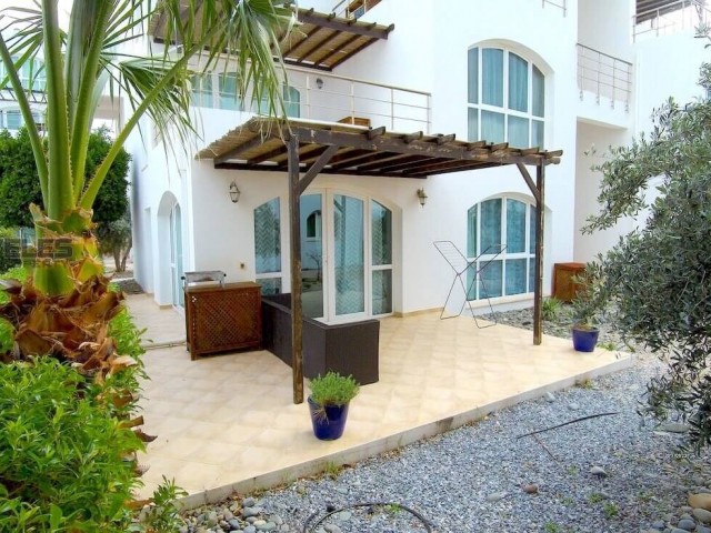 Daily rent in Aphrodite ** 