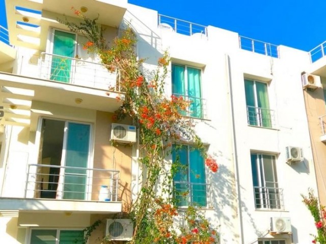 SA-1214 One Bedroom Apartment in Alsancak