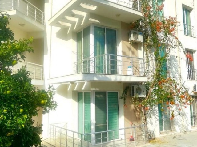 SA-1214 One Bedroom Apartment in Alsancak