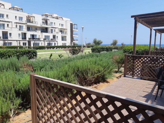 Thalassa Beach Resort'ta rahat daire 1+1