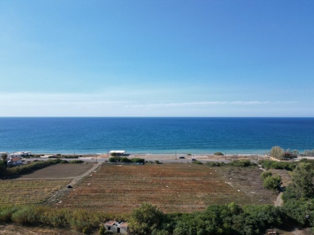 استودیو فلت برای فروش in Lefke, لفکه