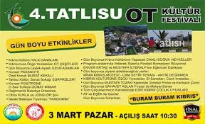 KKTC TATLISU 53 DÖNÜM 3 EVLEK 400 AY2 (71.970 M2) TARIM AMAÇLI ARAZİ  VEYA 300M2 EV YAPILABİLİR 