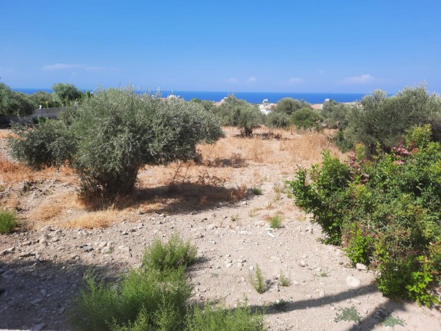 Kyrenia, Ozankoyde 1 December1 evlek Land FOR SALE!!! ** 