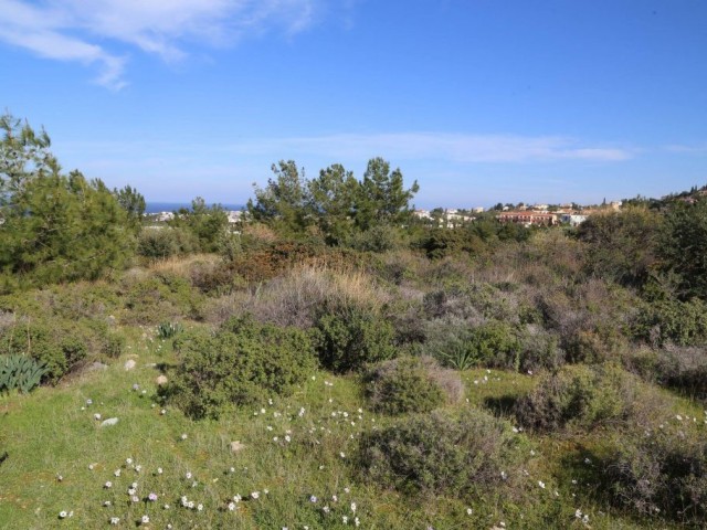 Residential Zoned Plot For Sale in Alsancak, Kyrenia