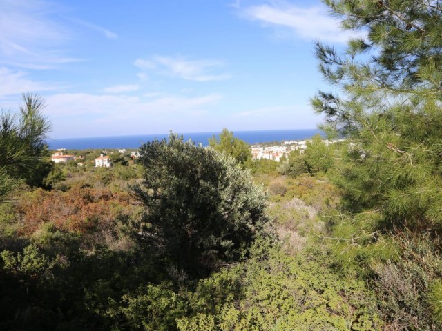 Residential Zoned Plot For Sale in Alsancak, Kyrenia