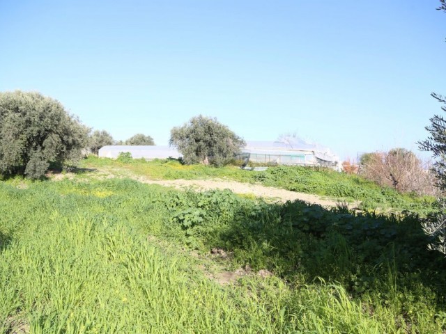 Residential Zoned Plot For Sale in Karakum, Kyrenia