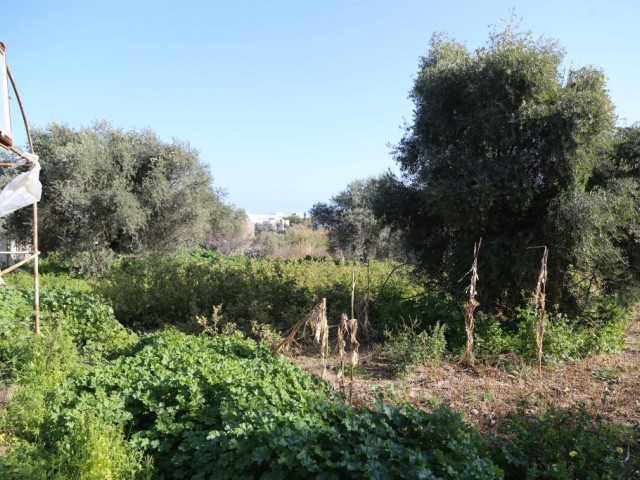 Residential Zoned Plot For Sale in Karakum, Kyrenia