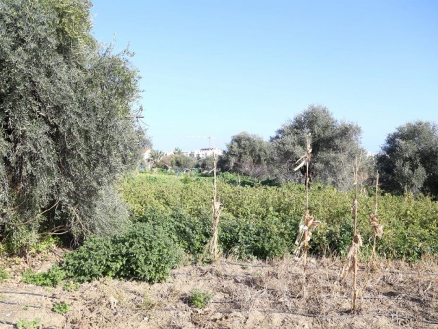 Residential Zoned Plot For Sale in Karakum, Kyrenia