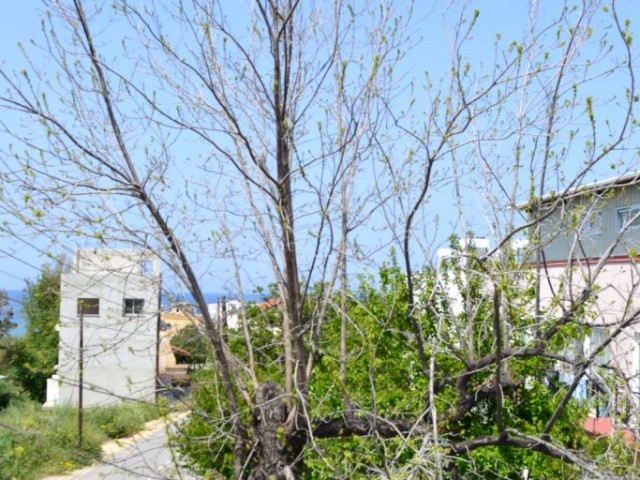 Complete Building For Sale in Karaoğlanoğlu, Kyrenia