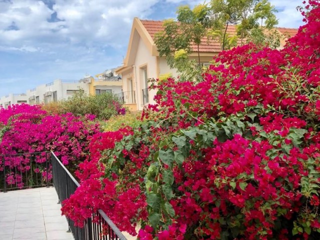 Einfamilienhaus Kaufen in Lapta, Kyrenia